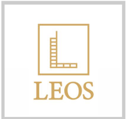 leos development logo