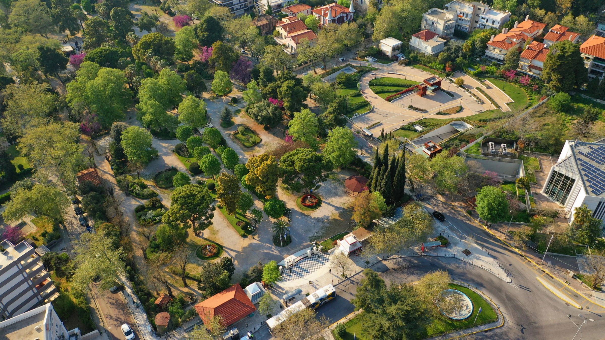 Elatia
